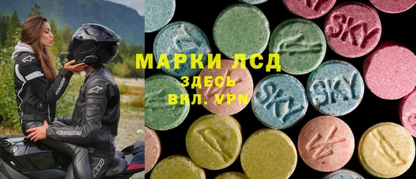 винт Алзамай