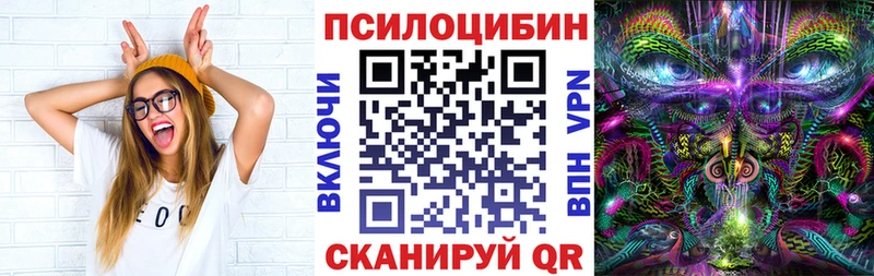 Галлюциногенные грибы GOLDEN TEACHER  купить наркотики цена  Салехард 